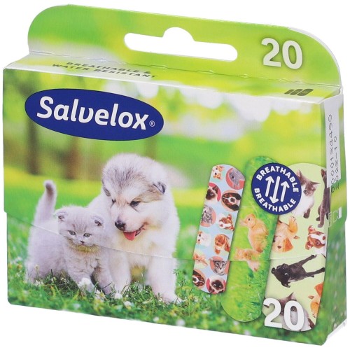 SALVELOX CEROTTI BB ANIMAL PLA